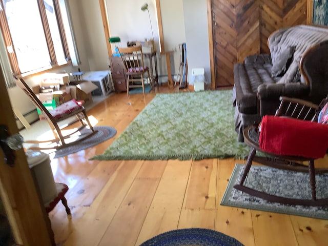 living room featuring hardwood / wood-style flooring