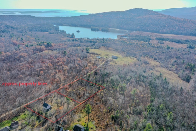 aerial view with a water and mountain view