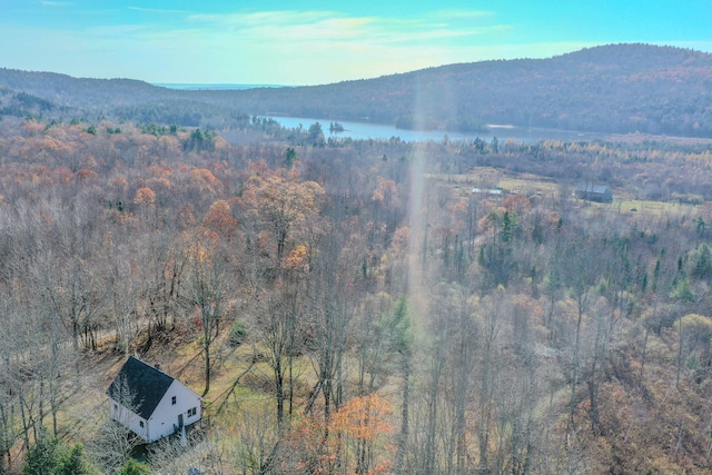 property view of mountains featuring a water view