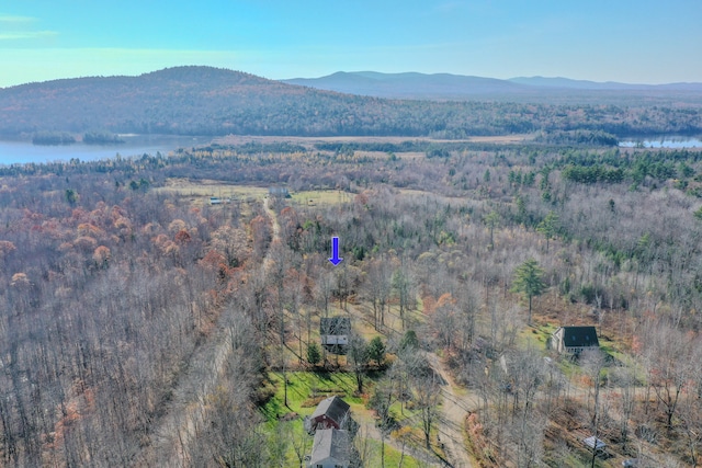 property view of mountains with a water view