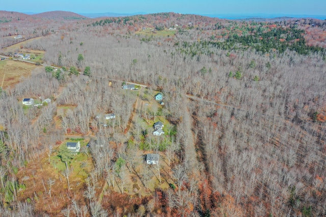 drone / aerial view with a mountain view