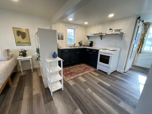 kitchen with white stove, dark hardwood / wood-style floors, and sink