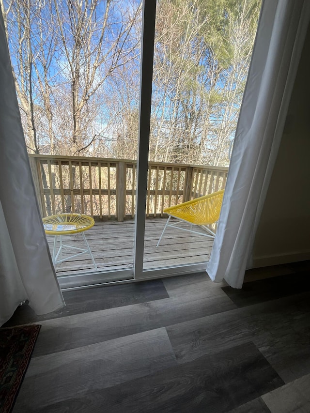 entryway featuring hardwood / wood-style flooring and a wealth of natural light