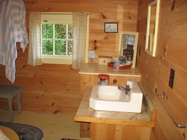 bathroom with sink and wooden walls