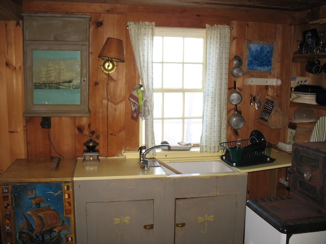 kitchen with sink and wooden walls