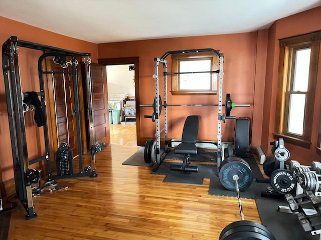 exercise area featuring wood-type flooring