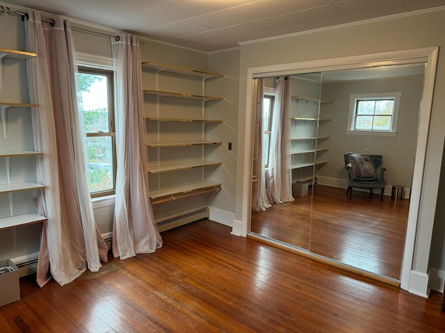 interior space with hardwood / wood-style flooring, multiple windows, and a closet