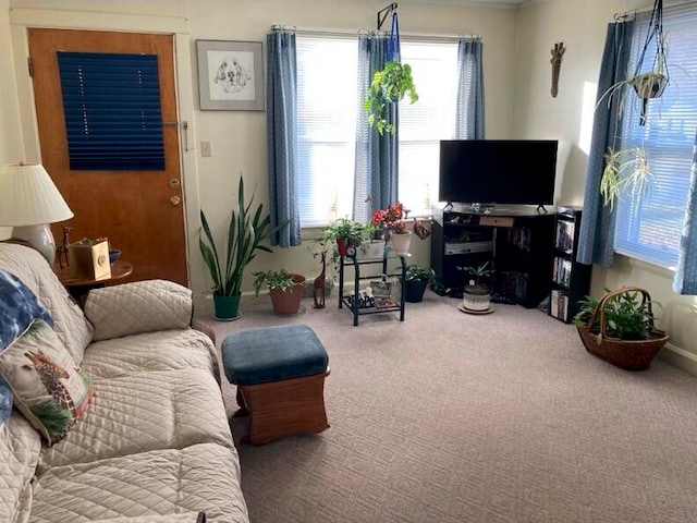 living room featuring carpet flooring