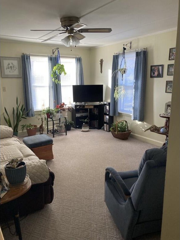 carpeted living room with ornamental molding and ceiling fan