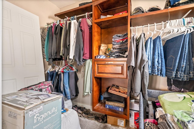 view of spacious closet