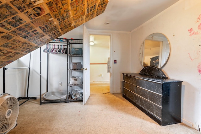 bedroom featuring carpet