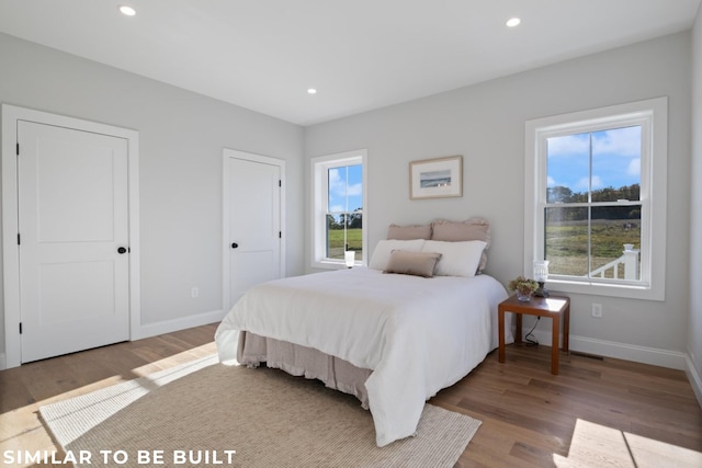 bedroom with multiple windows and wood-type flooring