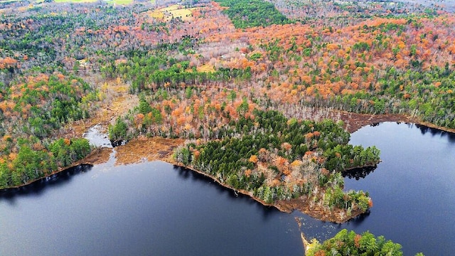 88 Piddock Ln, Fayette, ME 04349 - aerial overview of property's location featuring a forest and a nearby body of water