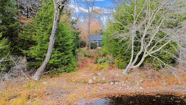 view of local wilderness with a water view