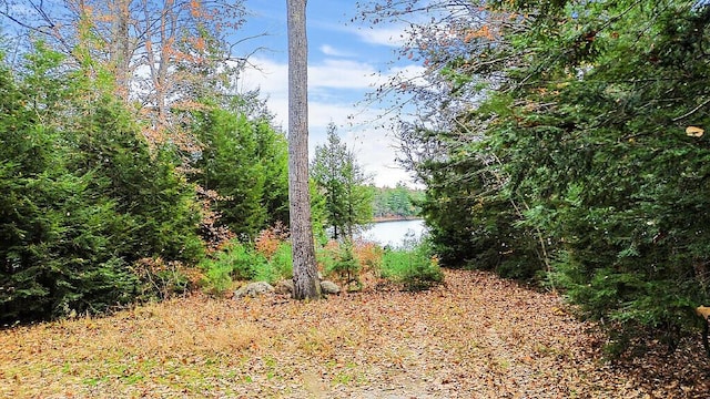 88 Piddock Ln, Fayette, ME 04349 - view of yard featuring a water view