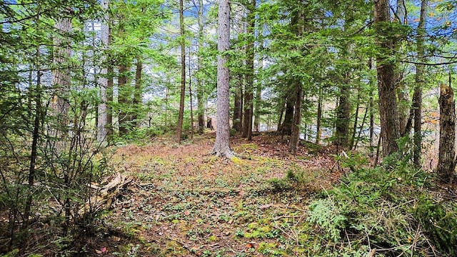 88 Piddock Ln, Fayette, ME 04349 - view of tree filled area
