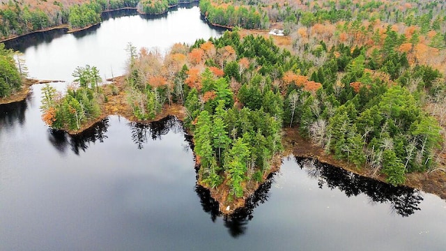88 Piddock Ln, Fayette, ME 04349 - aerial view of a nearby body of water and a forest