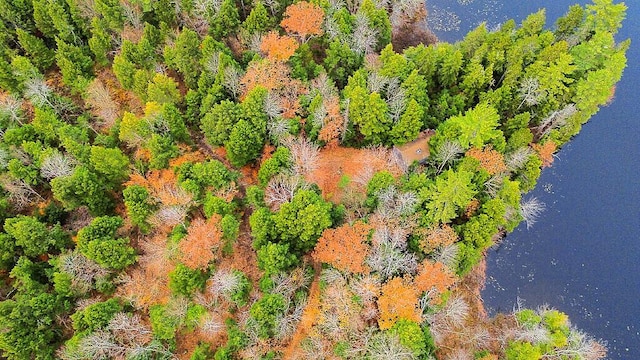 88 Piddock Ln, Fayette, ME 04349 - bird's eye view of a nearby body of water