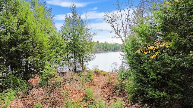 88 Piddock Ln, Fayette, ME 04349 - water view with a forest