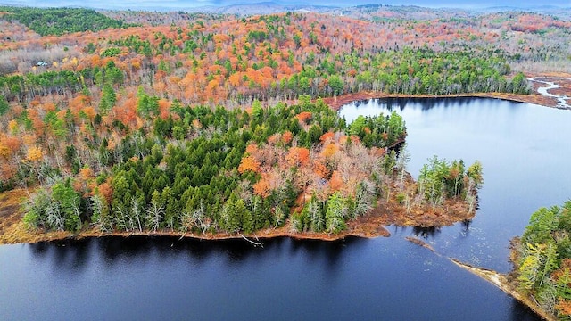 88 Piddock Ln, Fayette, ME 04349 - aerial overview of property's location with a heavily wooded area and a large body of water