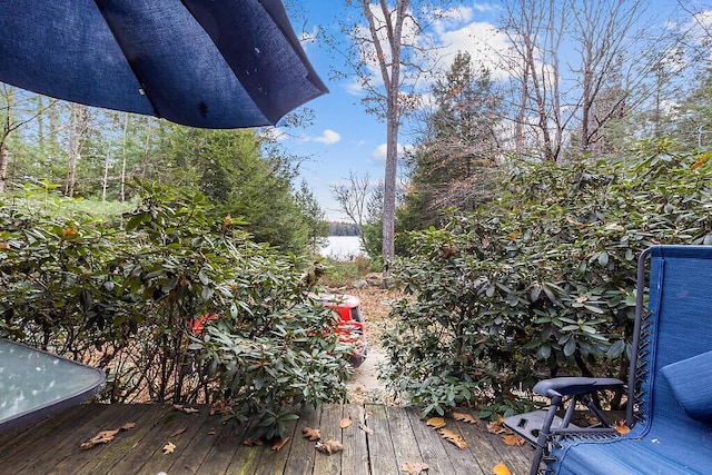 88 Piddock Ln, Fayette, ME 04349 - view of wooden deck