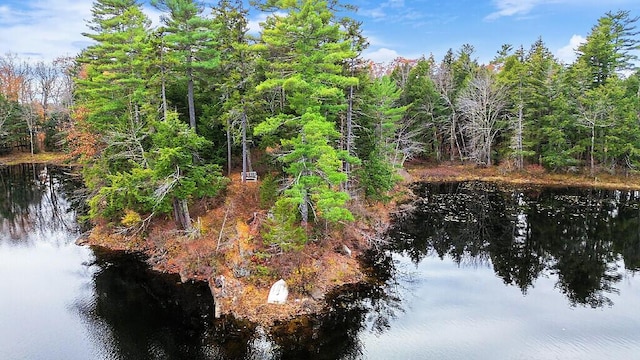 88 Piddock Ln, Fayette, ME 04349 - water view featuring a forest