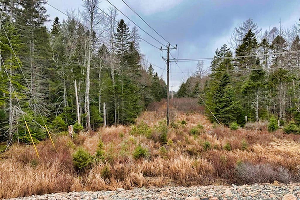 LOT147-03 Main St, Mount Desert, ME 04660