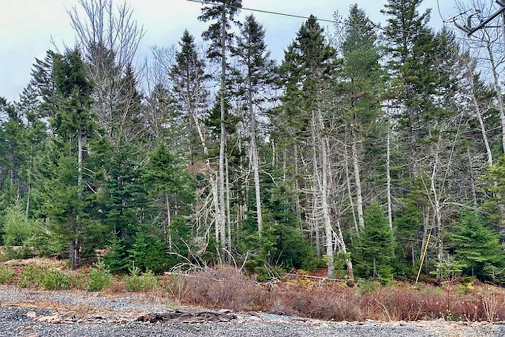 LOT147-03 Main St, Mount Desert, ME 04660