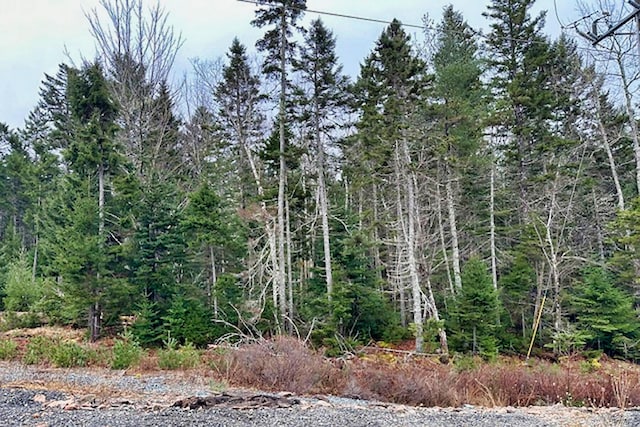 LOT147-03 Main St, Mount Desert, ME 04660