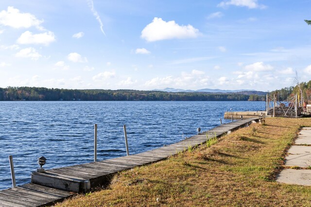 13 Gallinari Way, Bridgton, ME 04009 - photo 65