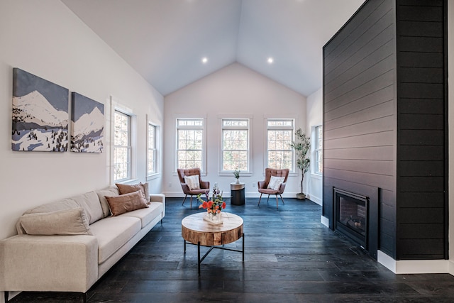 living room featuring dark wood-type flooring, a fireplace, and high vaulted ceiling