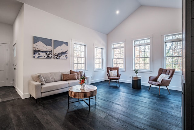 living room featuring high vaulted ceiling, dark wood-type flooring, and a wealth of natural light