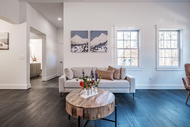 living room featuring dark hardwood / wood-style flooring