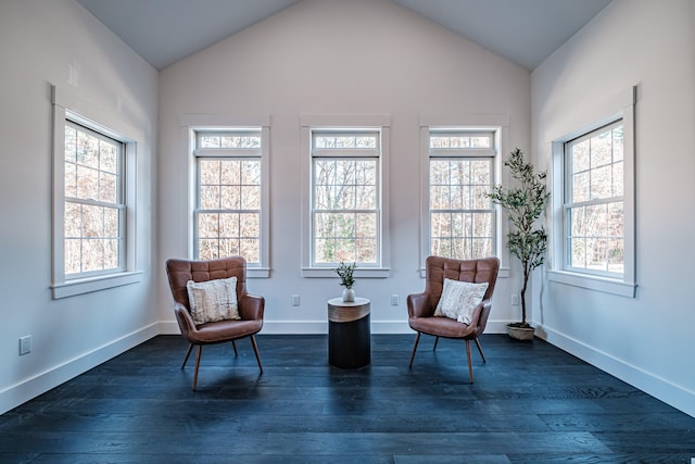 sitting room featuring a wealth of natural light, high vaulted ceiling, and dark hardwood / wood-style flooring