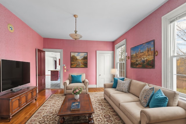 living room featuring a wealth of natural light and light hardwood / wood-style floors