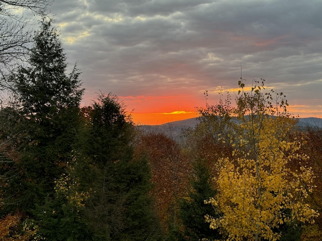 nature at dusk with a mountain view