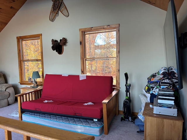 living room featuring carpet flooring and lofted ceiling