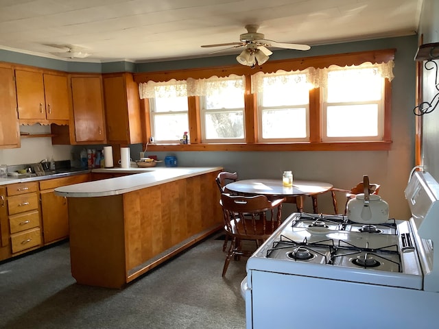 kitchen featuring gas range gas stove, ceiling fan, plenty of natural light, and dark carpet