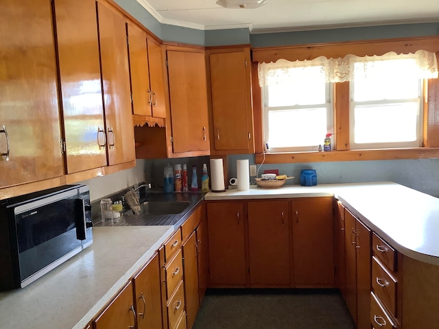 kitchen featuring sink and ornamental molding