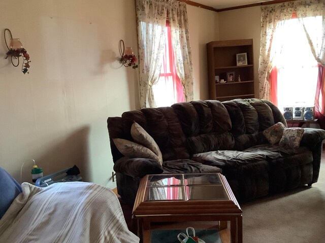 living room with carpet floors and crown molding