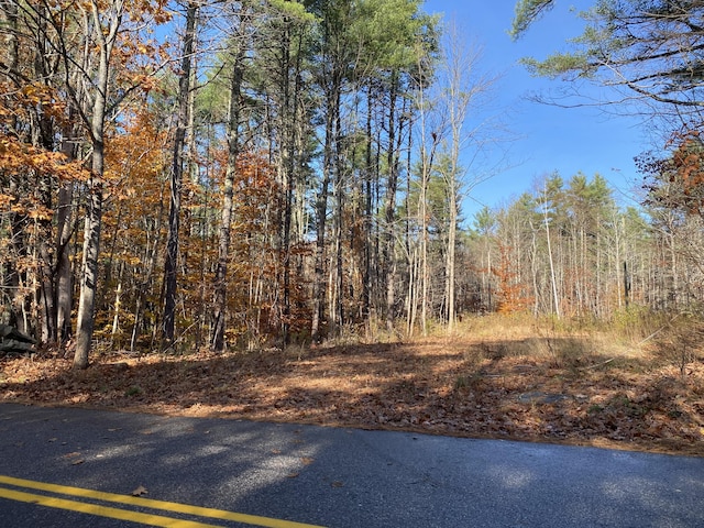 0 Tatnic Rd, Wells, ME 04090