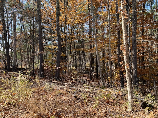 0 Tatnic Rd, Wells, ME 04090