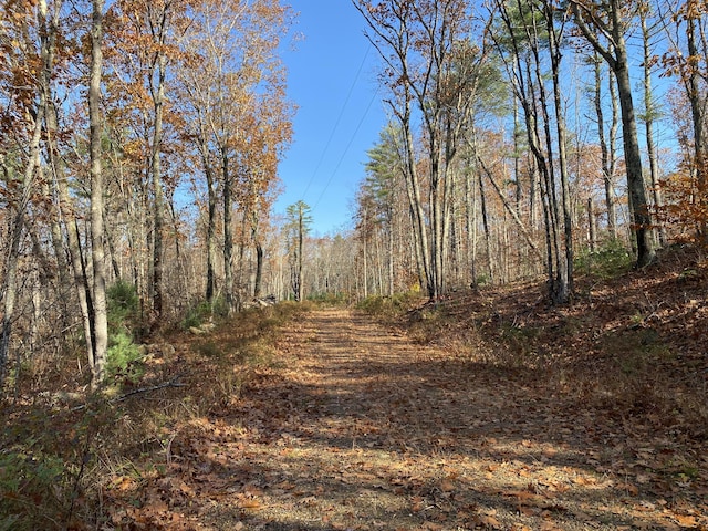 0 Tatnic Rd, Wells, ME 04090