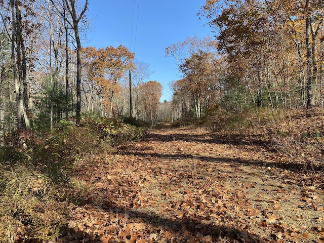 0 Tatnic Rd, Wells, ME 04090