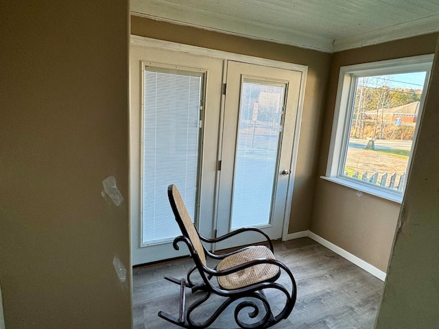 entryway with crown molding and wood-type flooring