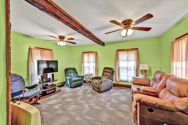 living area featuring ceiling fan, carpet floors, and beam ceiling