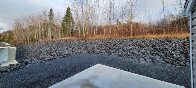 320 19th Ave Unit 101, Madawaska, ME 04756 - view of yard