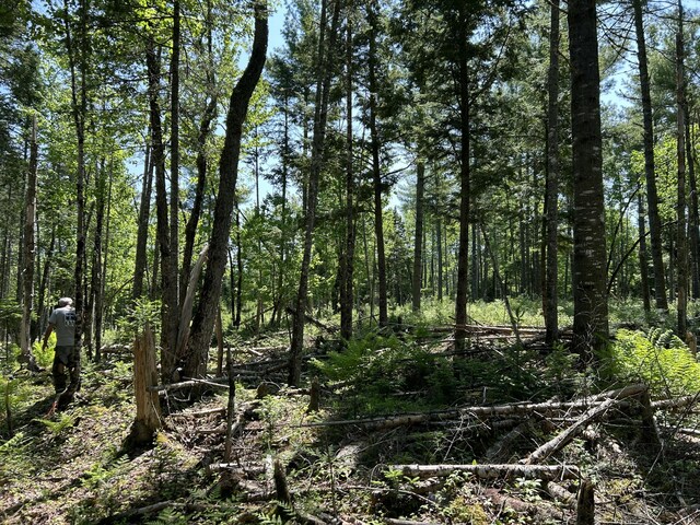 M4L36 Old Union Rd, Washington, ME 04574 - photo 17