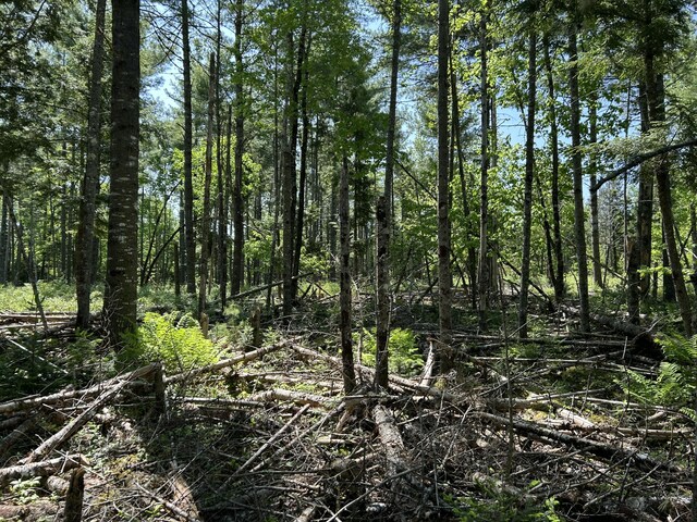 M4L36 Old Union Rd, Washington, ME 04574 - photo 18