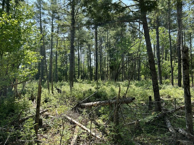 M4L36 Old Union Rd, Washington, ME 04574 - photo 19